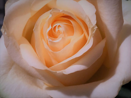Spring glamour. Autumn honesty