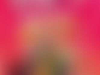 RESENHA Heroínas do Brasil