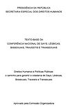 Presidência da República. Secretaria Especial dos Direitos Humanos | Texto Base da Conferência Nacional de Gays, Lésbicas, Bissexuais, Travestis e Transexuais | Direitos Humanos e Políticas Públicas: o Caminho para Garantir a Cidadania de Gays, Lésbicas, Bissexuais, Travestis e Transexuais (2007)