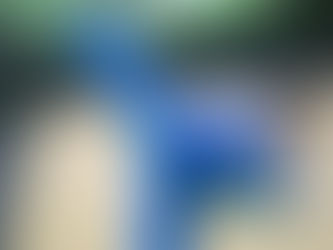 10月入門料半額キャンペーン実施中!