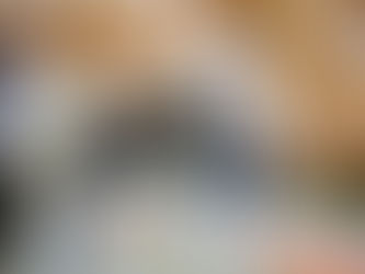 過去の試合結果(少年部)ページ追加!