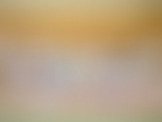 審査会お疲れ様でした!