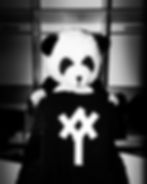 YARD 10TH ANNIVERSARY, 2024