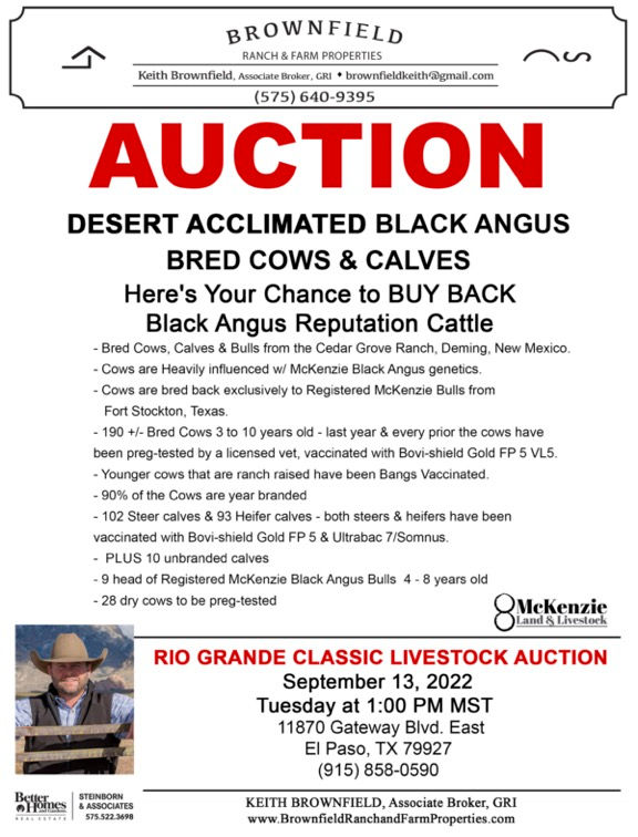 Cattle for Sale Keith Brownfield