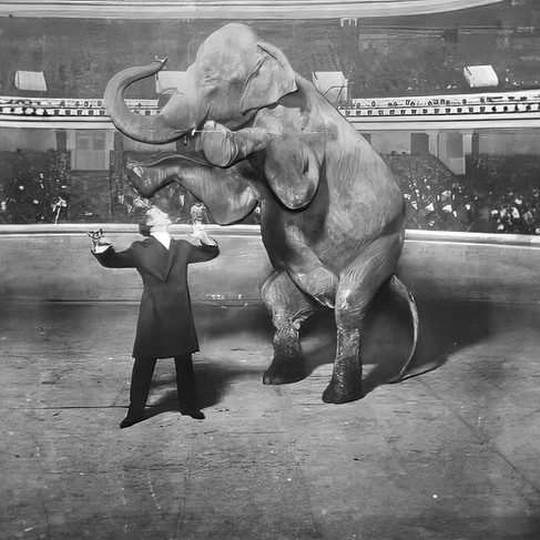 Harry Houdini standing under an elephant on it's back two legs