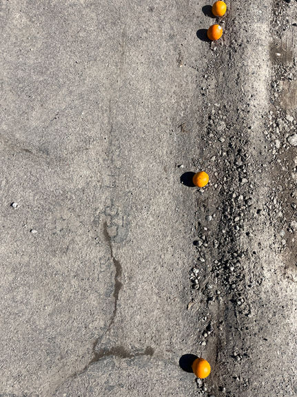 four oranges lie on the the rough asphalt of the road, vertically aligned