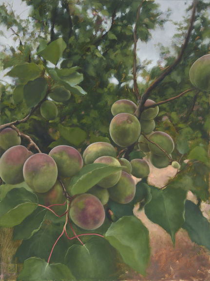 Realistic vertical oil painting with green leaves and clusters of unripe fruit in the foreground
