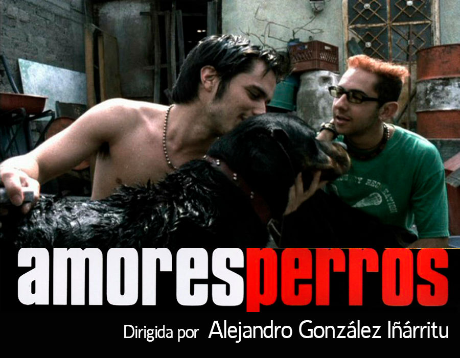 Amores perros