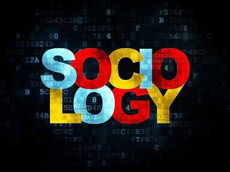 Sociology as a Discipline for all Disciplines