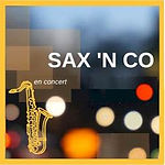 saxnco2.jpg