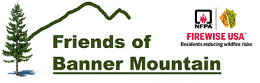 FBM Logo
