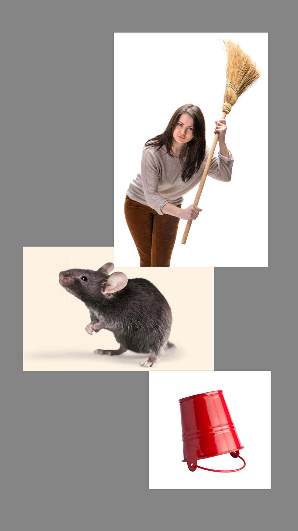 woman with broom in hand raised over her head, a mouse and a bucket upside down