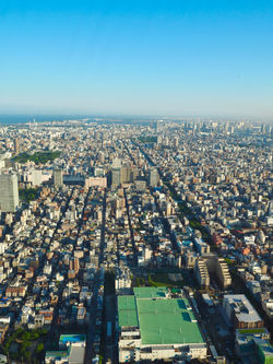 skytree