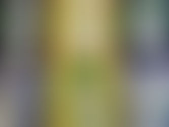 Busy Infants room fun