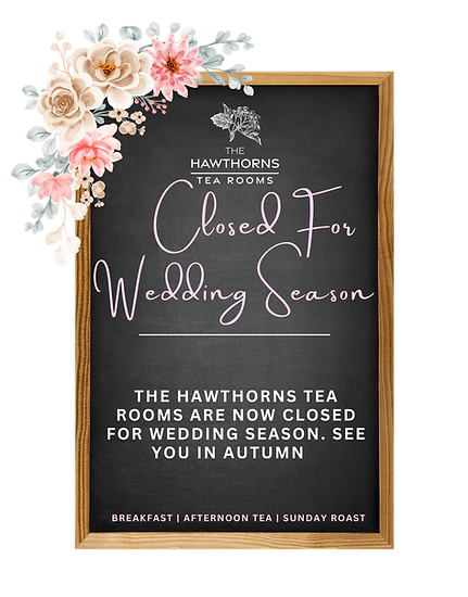 Website Open sundays .png