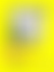 Bristol Paper Pad (smooth paper)