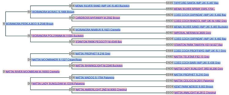 Jarickni Mayfair Pedigree.png