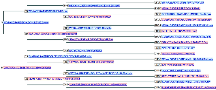 Chantilly Pedigree.png