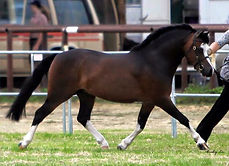 10320327_768018116663253_639679530383137