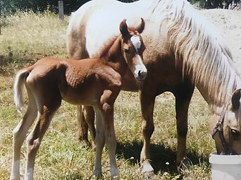 117237618_1893057314204224_8553778838015