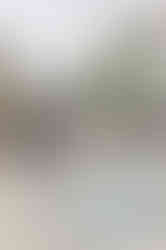 20210925142340_1N1A9016 copy.jpg