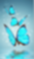 Screen Shot 2026-04-19 at 2.17.32 PM.png