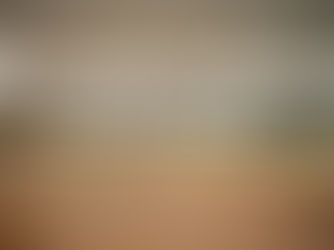 Order of Service Sunday, February 22, 2026- First Sunday in lent