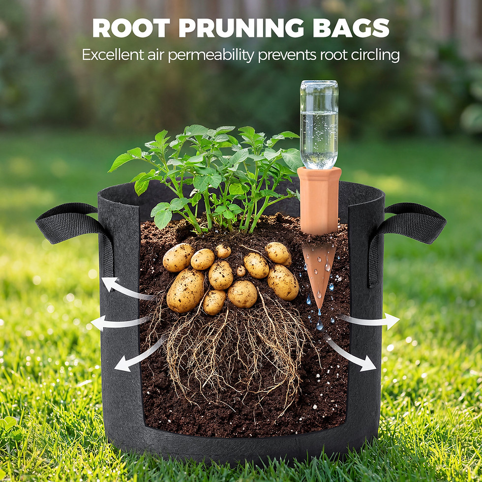 縮圖：5-Pack 5 Gallon Grow Bags for Potato Tomatoes Vegetables, 5 Pack Terracotta Plan