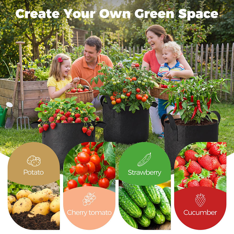 縮圖：5-Pack 5 Gallon Grow Bags for Potato Tomatoes Vegetables, 5 Pack Terracotta Plan
