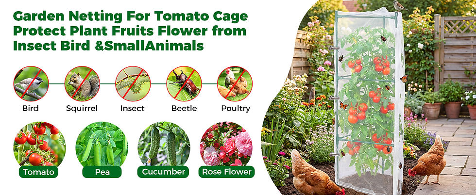 縮圖：3Pcs Garden Bird Netting Plant Cover for Tomato Cage-55" or 67" x 17.7"