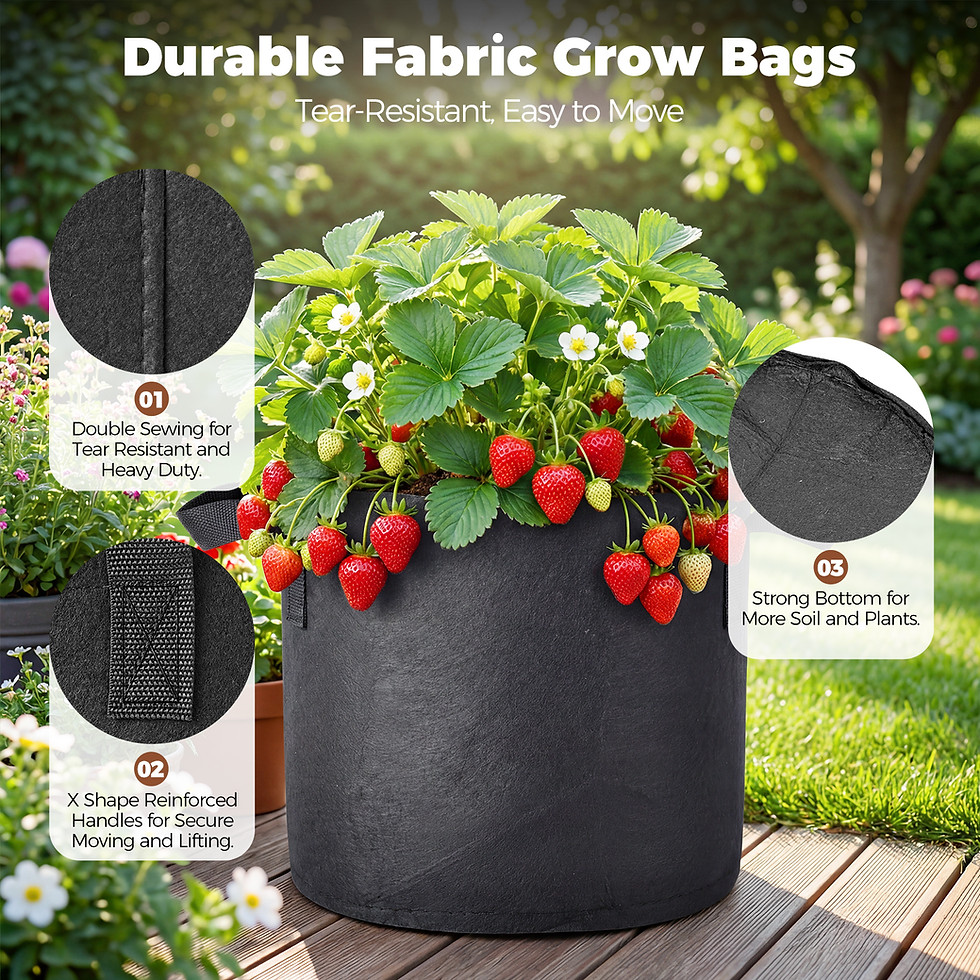 縮圖：5-Pack 10 Gallon Grow Bags for Potato Tomatoes Vegetables, 5 Pack Terracotta Pla
