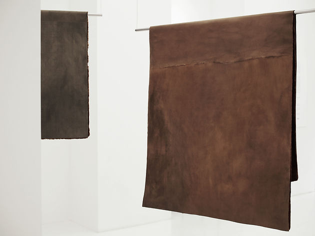 Skins (fragment).jpg
