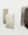 Skins (left view)