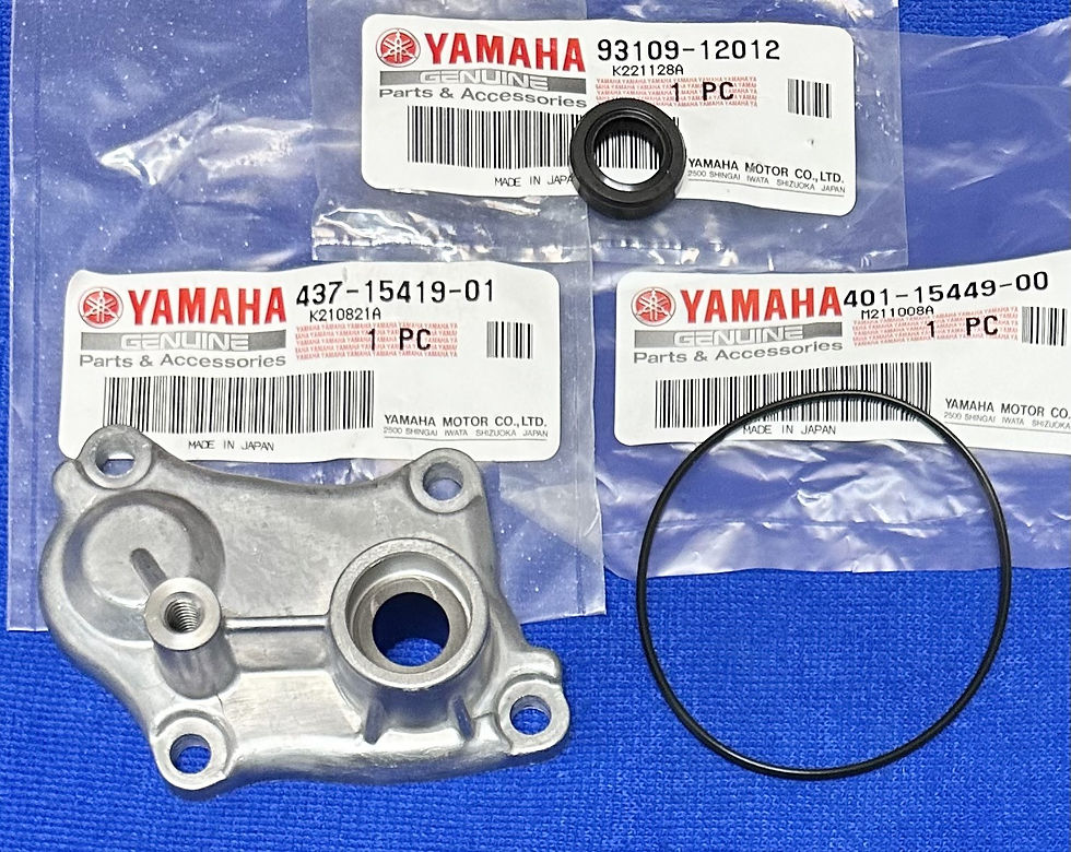 YAMAHA TY125/175 GEAR SELECTOR COVER KIT 437-15419-01, 401-15449-00, 93109-12012