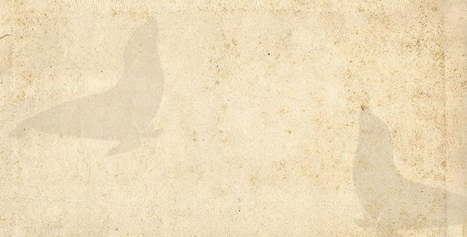 vintage-paper-texture-set_edited.png