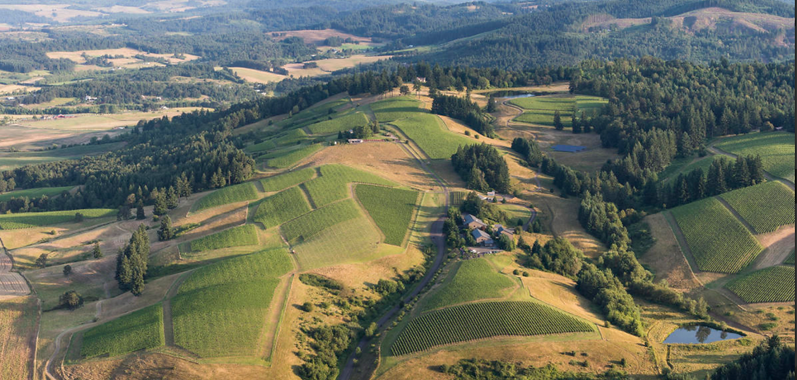 WILLAMETTE VALLEY .png