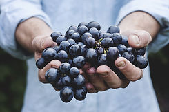 Man-Holding-Grapes-in-His-Hands.jpeg