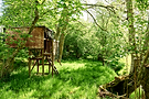 Woodland