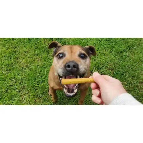 Thumbnail: Golden Oldies