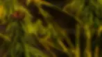 Home Banner 1.webp