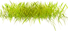 Grama.png
