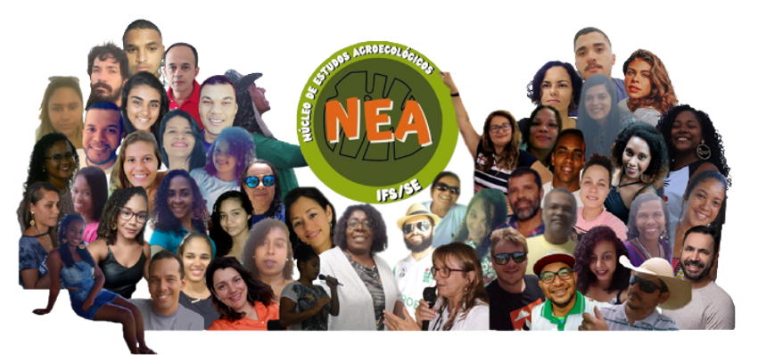 Logo_e_Coletivo_do_NEA_FUNDO TRANSPARENTE.png
