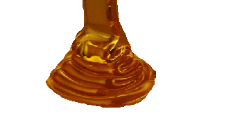Mel transp.gif