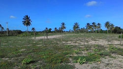 Lote comunitário