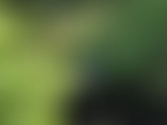 毎日暑い日が続いております。
