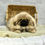 Thumbnail: Zack | Pekingese | ADOPTED