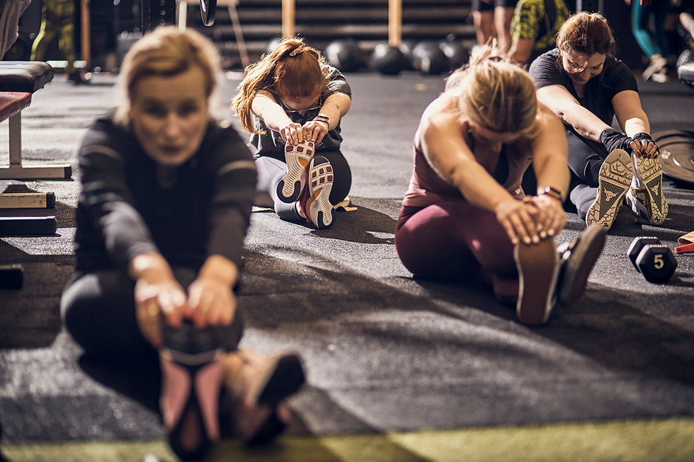 Hardy. Wyższa Forma. Siłownia. Wrocław. Urlop. Aktywność fizyczna. Ćwiczenia. Trening funkcjonalny. FBW. Trening po wakacjach.