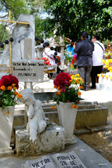 Catrinas, icone de la fête des morts