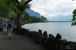 VF8 2016 Lausanne - Villeneuve-14