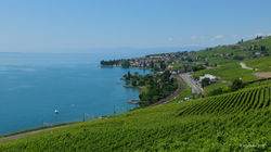 VF8 2016 Lausanne - Villeneuve-6